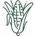 Maize