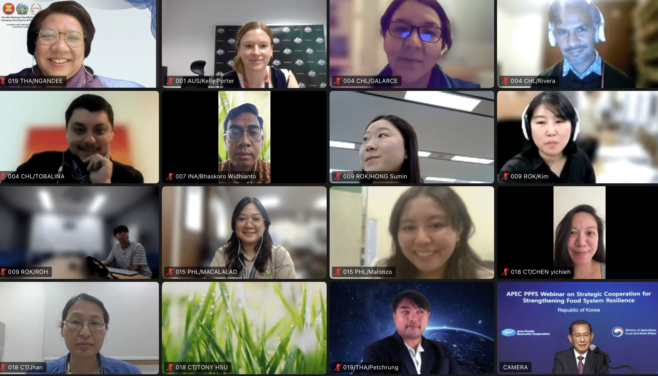 APEC PPFS Webinar on Strategic Cooperation for Strengthening Food System Resilience