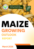 Maize Growing Outlook Report March 2026