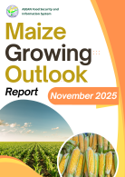 Maize Growing Outlook Report November 2025