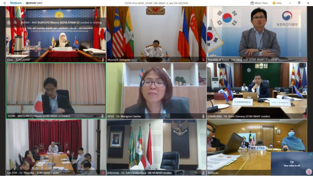 The Special SOM-19th AMAF+3 Meetings