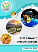 Rice Growing Outlook Report February 2020