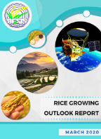 Rice Growing Outlook Report March 2020