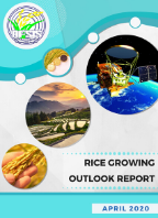 Rice Growing Outlook Report April 2020