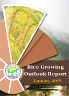 Rice Growing Outlook Report January 2019