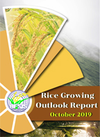 Rice Growing Outlook Report October 2019