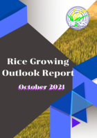 Rice Growing Outlook Report August 2021