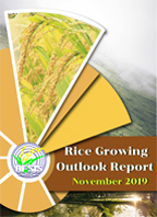 Rice Growing Outlook Report November 2019