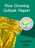 Rice Growing Outlook Report December 2018