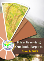 Rice Growing Outlook Report March 2019