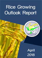 Rice Growing Outlook Report April 2018