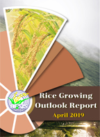Rice Growing Outlook Report April 2019