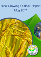 Rice Growing Outlook Report May 2017