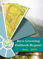Rice Growing Outlook Report June 2019
