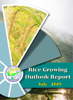 Rice Growing Outlook Report July 2019