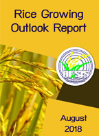 Rice Growing Outlook Report August 2018