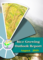 Rice Growing Outlook Report August 2019