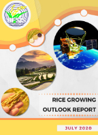 Rice Growing Outlook Report July 2020