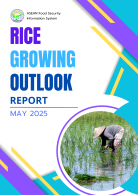 Rice Growing Outlook Report May 2025