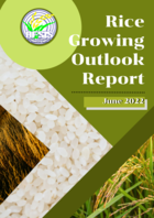 Rice Growing Outlook Report June 2022