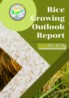 Rice Growing Outlook Report May 2022