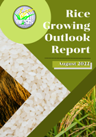 Rice Growing Outlook Report August 2022