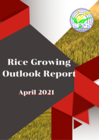 Rice Growing Outlook Report April 2021