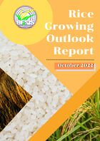 Rice Growing Outlook Report October 2022