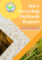 Rice Growing Outlook Report September 2022