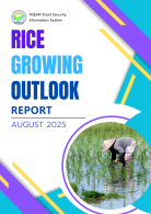 Rice Growing Outlook Report August 2025
