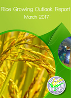 Rice Growing Outlook Report March 2017