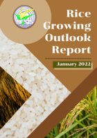 Rice Growing Outlook Report January 2022