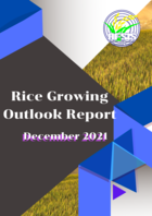 Rice Growing Outlook Report December 2021