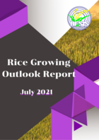 Rice Growing Outlook Report July 2021