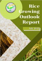 Rice Growing Outlook Report July 2022